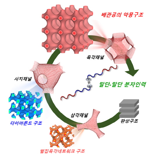 박문정 포스텍 교수가 발견한 고분자 시스템에서 배관공의 악몽 구조 개념도